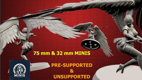 Katheryn Archangel - STL files for 3D printing RPG MINIS