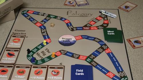 Falconry, The Board Game