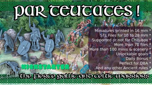 Par Teutates ! Gallic Army STL Files and/or Miniatures