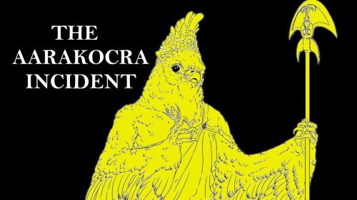 The Aarakocra Incident