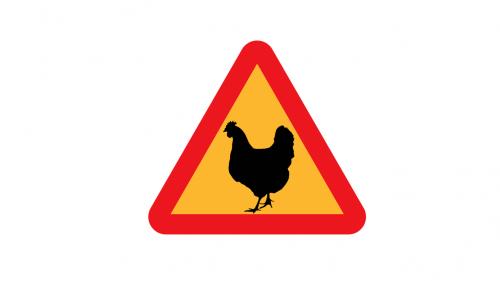 Chicken to Ride
