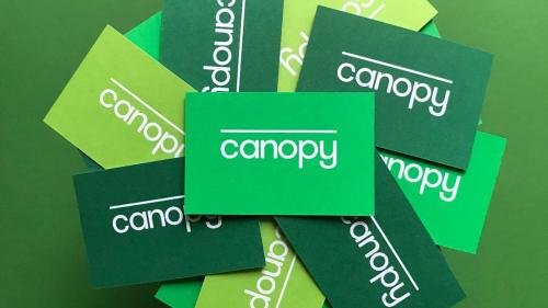 Canopy - the table top balancing game