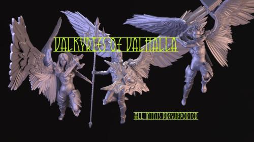 The Valkyries