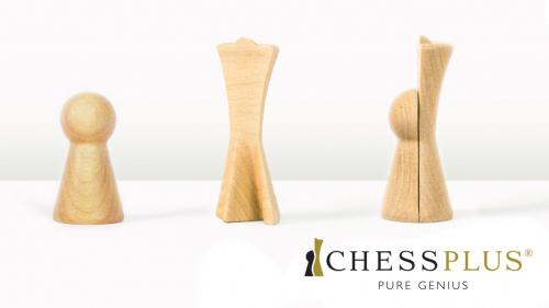 CHESSPLUS | An Amazing Board Game. The Evolution of Chess.
