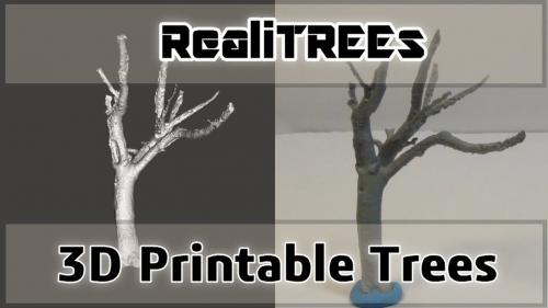 RealiTREEs: Amazing 3D Printable Tree Armatures